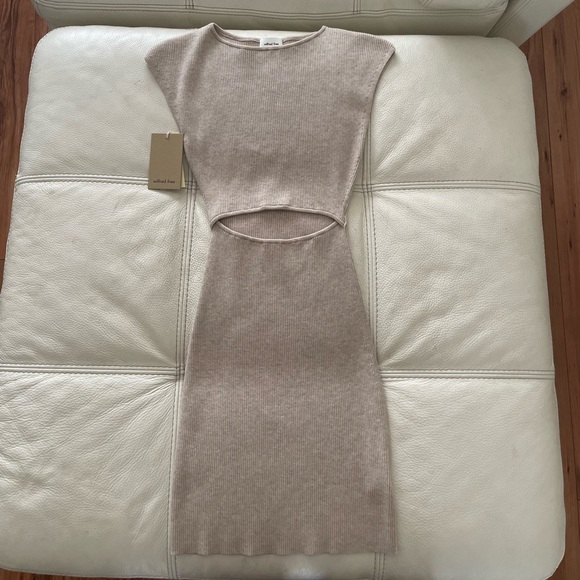 Aritzia Dresses & Skirts - Aritzia Cut Out Knit Dress